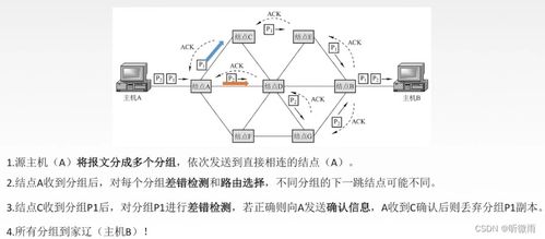 計(jì)算機(jī)網(wǎng)絡(luò)基礎(chǔ)第二章